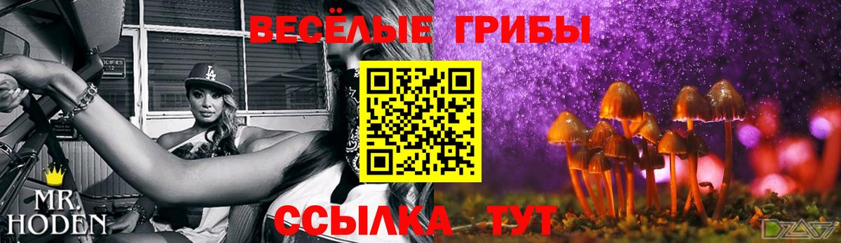 Галлюциногенные грибы прущие грибы  наркота  Нальчик  Вход с VPN 